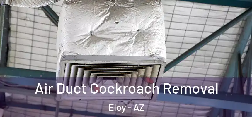 Air Duct Cockroach Removal Eloy - AZ
