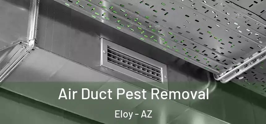  Air Duct Pest Removal Eloy - AZ