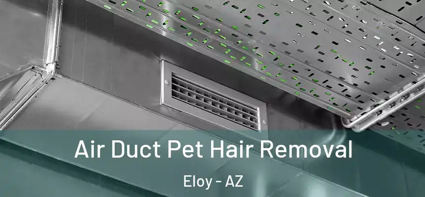 Air Duct Pet Hair Removal Eloy - AZ