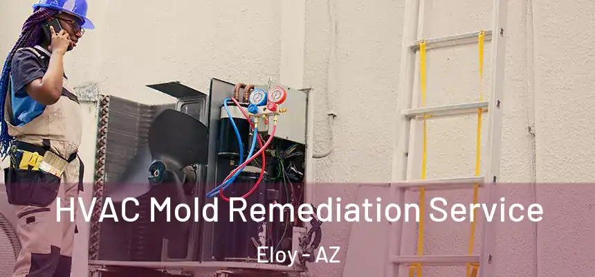  HVAC Mold Remediation Service Eloy - AZ
