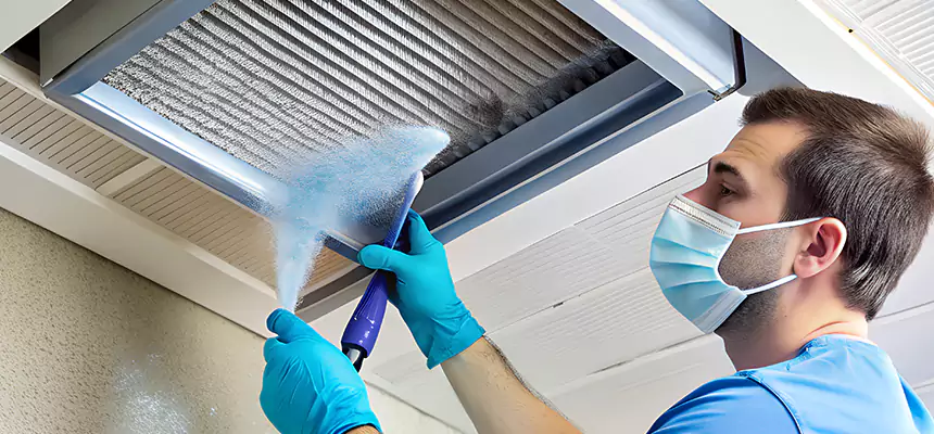 Proactive Dryer Vent & Auxiliary Duct Pollen Cleanup in Eloy, AZ