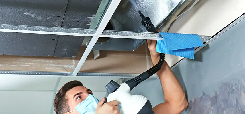 Our Air Duct Rodent Removal Services in Eloy, AZ