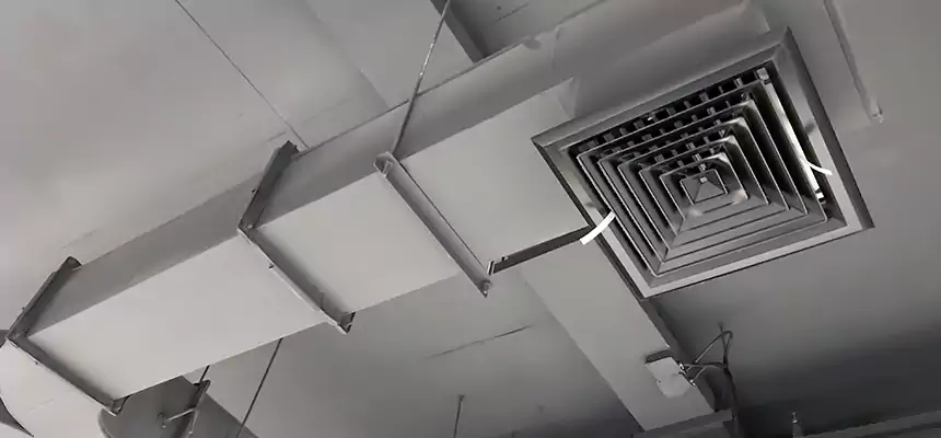 Restorative Allergy Relief Vent Cleaning – Coil, Blower & Housing Detail in Eloy