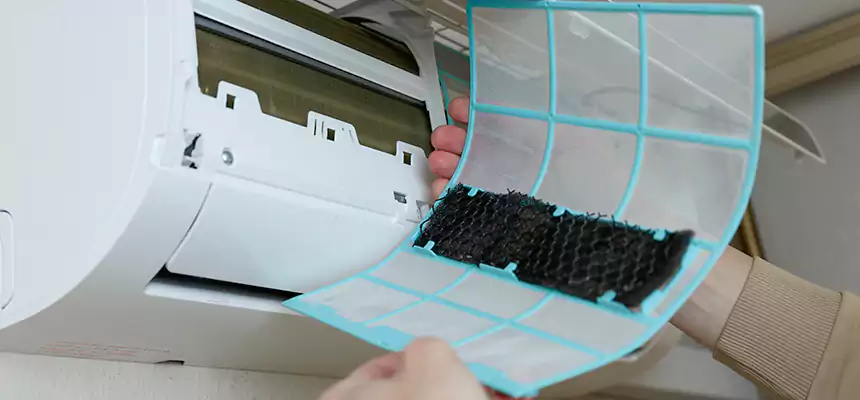 Gentle Ductwork Odor-Control Pet Dander Duct Cleaning in Eloy, AZ