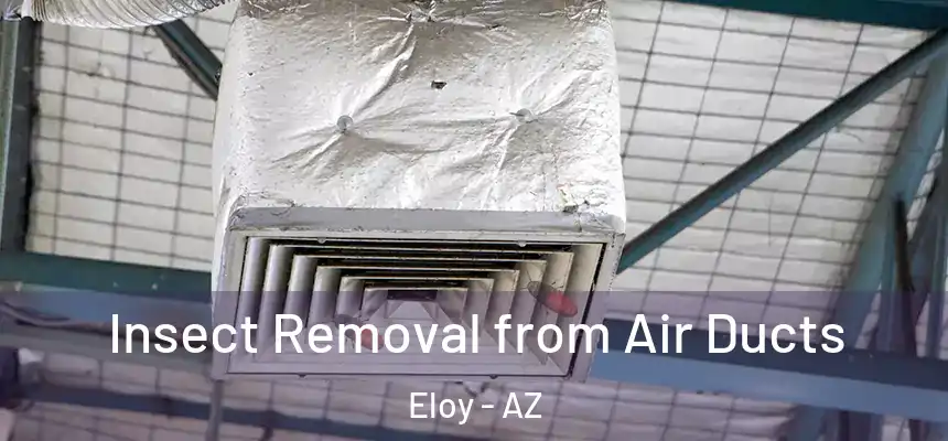 Insect Removal from Air Ducts Eloy - AZ