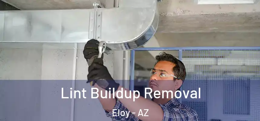  Lint Buildup Removal Eloy - AZ