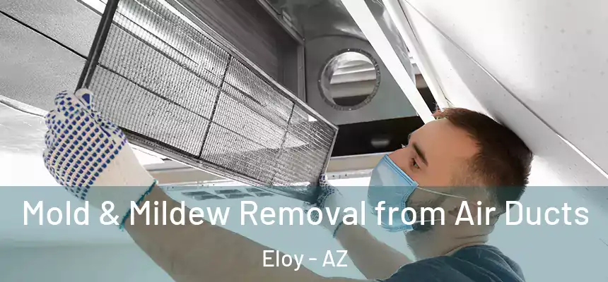  Mold & Mildew Removal from Air Ducts Eloy - AZ