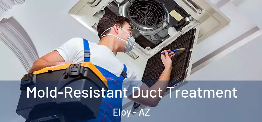 Mold-Resistant Duct Treatment Eloy - AZ