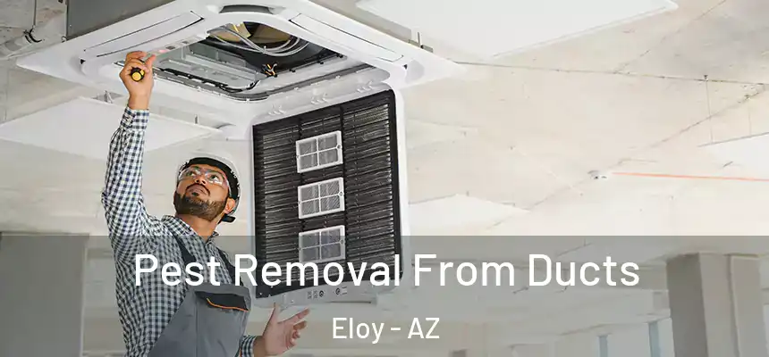 Pest Removal From Ducts Eloy - AZ