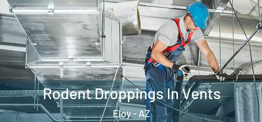 Rodent Droppings In Vents Eloy - AZ