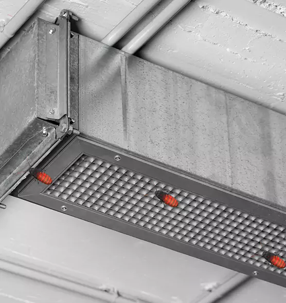 About Air Duct Cockroach Removal in Eloy, AZ