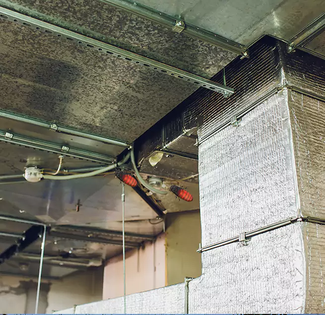 Why Homeowners & Businesses Trust Us in Eloy, AZ?