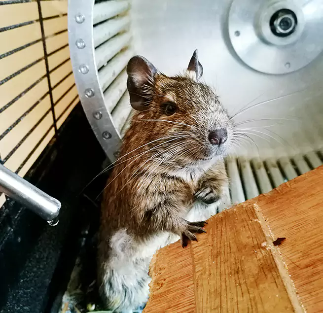 Why Homeowners & Businesses Trust Us Eloy, AZ