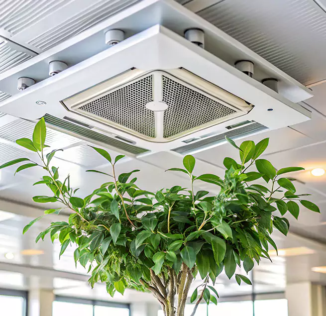 Why Homeowners & Businesses Trust Us in Eloy, AZ